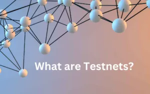 What is a Testnet?