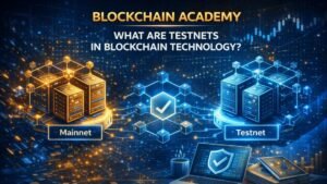 What are Testnets in Blockchain Technology