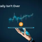 Bitcoin Rally to Continue in 2024