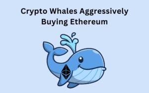 Crypto Whales Accumulating Ethereum Aggressively